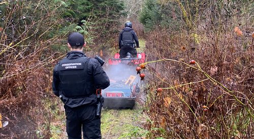 BCCOS wraps up grizzly search, 'an extraordinary response to an extraordinary attack’